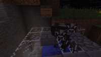 cow cooker (4)